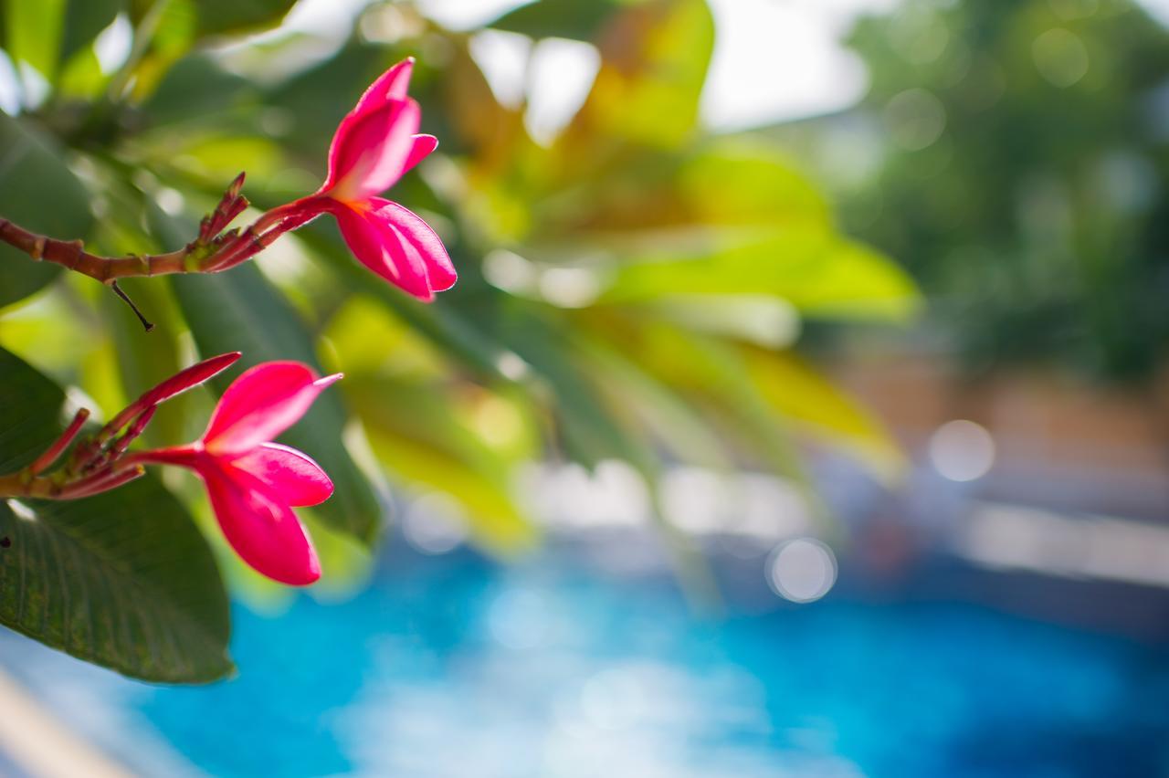 Pk Resort Pattaya 乔木提恩海滩 外观 照片